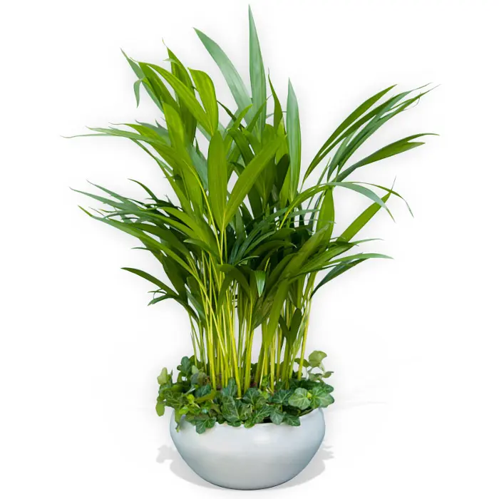 Residential Subscription: Flower Arrangement