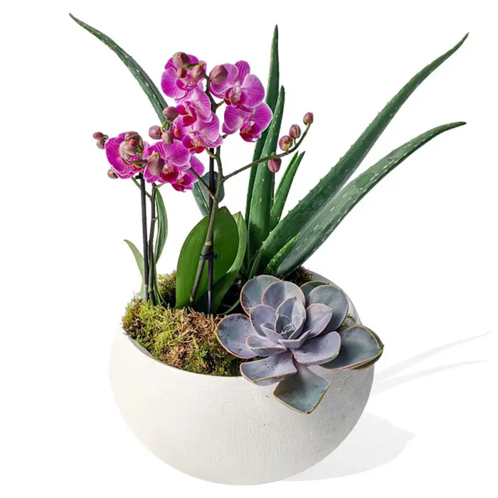 Chazia Brown Glass Vase